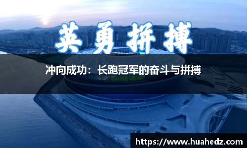 yy易游体育